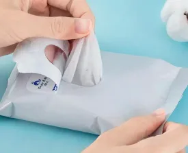 75 % Wet Antibacterial Cleaning Wipes (2 Pcs) 