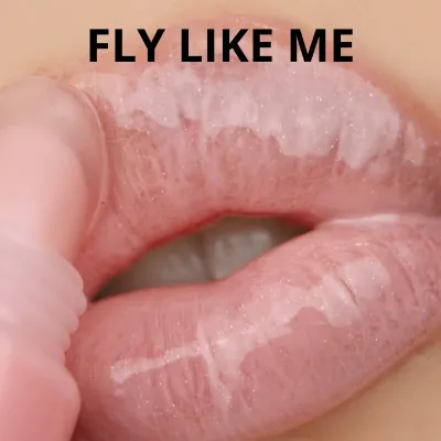 Fly Like Me