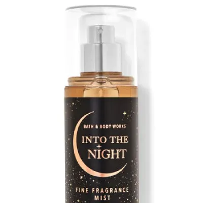  INTO THE NIGHT