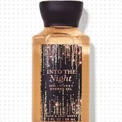 INTO THE NIGHT
