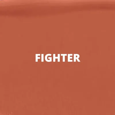 Fighter